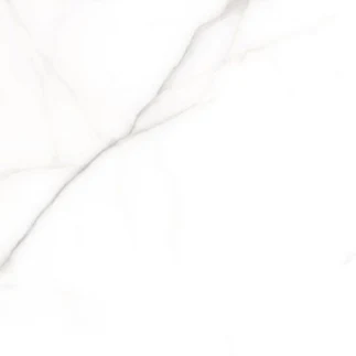 Gray Satyia — 60 × 60 cm
