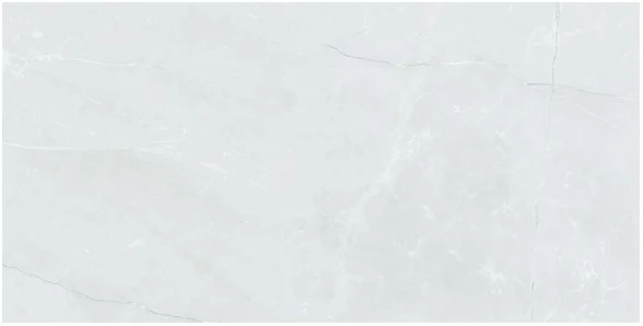 Light Gray Monza — 60 × 120 cm